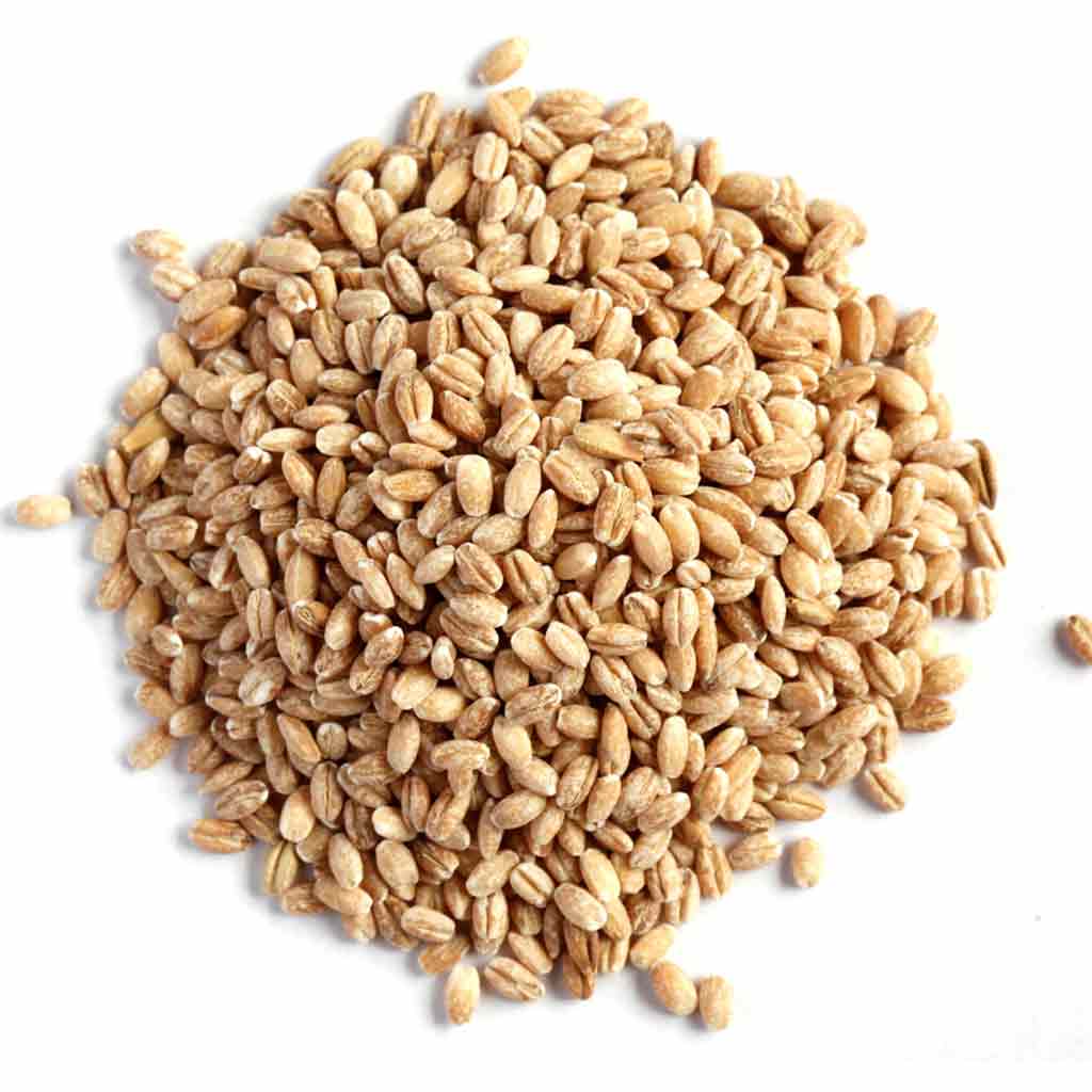 Barley, Pearled - Organic - Go Raw Organics